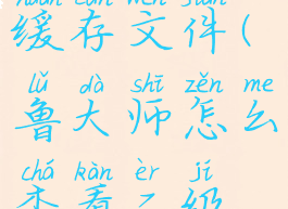 鲁大师怎么查看二级缓存文件(鲁大师怎么查看二级缓存文件位置)