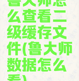 鲁大师怎么查看二级缓存文件(鲁大师数据怎么看)