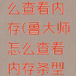 鲁大师怎么查看内存(鲁大师怎么查看内存条型号)