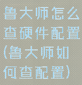 鲁大师怎么查硬件配置(鲁大师如何查配置)