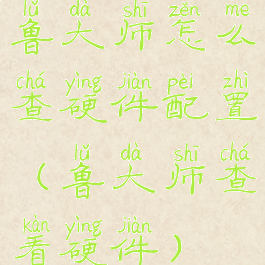 鲁大师怎么查硬件配置(鲁大师查看硬件)