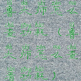 鲁大师怎么查功耗(鲁大师怎么查看功耗)