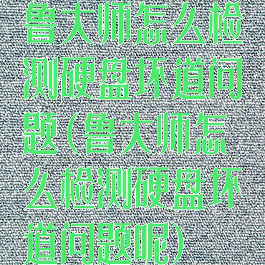 鲁大师怎么检测硬盘坏道问题(鲁大师怎么检测硬盘坏道问题呢)