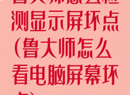 鲁大师怎么检测显示屏坏点(鲁大师怎么看电脑屏幕坏点)