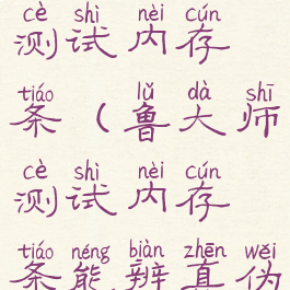 鲁大师怎么测试内存条(鲁大师测试内存条能辨真伪吗)