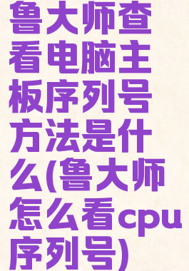 鲁大师查看电脑主板序列号方法是什么(鲁大师怎么看cpu序列号)