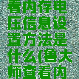 鲁大师查看内存电压信息设置方法是什么(鲁大师查看内存频率)