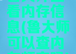 鲁大师查看内存信息(鲁大师可以查内存频率吗)