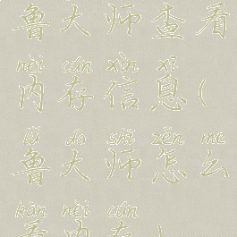 鲁大师查看内存信息(鲁大师怎么看内存)