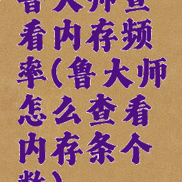 鲁大师查看内存频率(鲁大师怎么查看内存条个数)