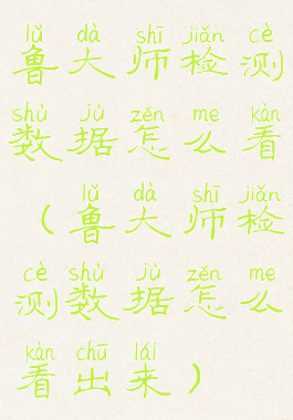 鲁大师检测数据怎么看(鲁大师检测数据怎么看出来)