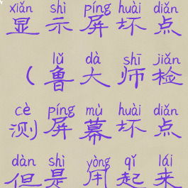 鲁大师检测显示屏坏点(鲁大师检测屏幕坏点但是用起来不会)