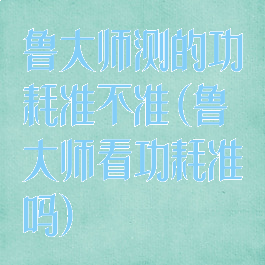 鲁大师测的功耗准不准(鲁大师看功耗准吗)