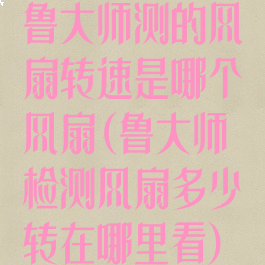 鲁大师测的风扇转速是哪个风扇(鲁大师检测风扇多少转在哪里看)