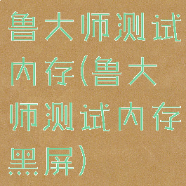 鲁大师测试内存(鲁大师测试内存黑屏)