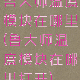 鲁大师温度模块在哪里(鲁大师温度模块在哪里打开)