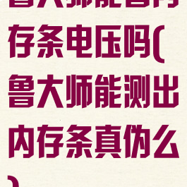 鲁大师能看内存条电压吗(鲁大师能测出内存条真伪么)