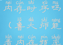 鲁大师能看内存时序吗(鲁大师能看内存频率吗)