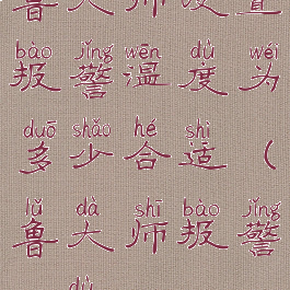 鲁大师设置报警温度为多少合适(鲁大师报警100度)