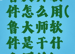 鲁大师软件怎么用(鲁大师软件是干什么用的)