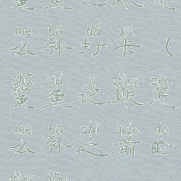 鲨鱼记账怎么补打卡(鲨鱼记账怎么补之前的账单)