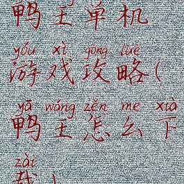 鸭王单机游戏攻略(鸭王怎么下载)