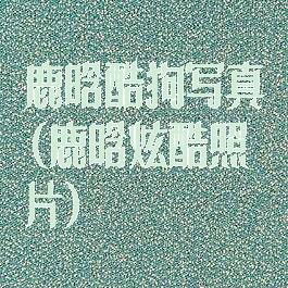 鹿晗酷狗写真(鹿晗炫酷照片)