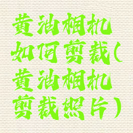 黄油相机如何剪裁(黄油相机剪裁照片)