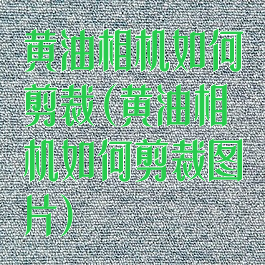 黄油相机如何剪裁(黄油相机如何剪裁图片)