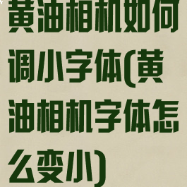 黄油相机如何调小字体(黄油相机字体怎么变小)