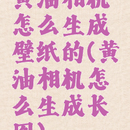 黄油相机怎么生成壁纸的(黄油相机怎么生成长图)