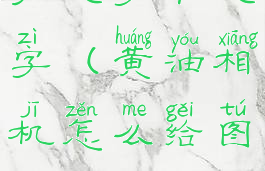 黄油相机怎么给图片添加文字和文字(黄油相机怎么给图片添加文字和文字水印)