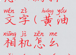 黄油相机怎么编辑文字(黄油相机怎么改文字颜色)