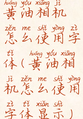 黄油相机怎么使用字体(黄油相机怎么使用字体显示)