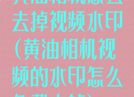 黄油相机怎么去掉视频水印(黄油相机视频的水印怎么免费去掉)