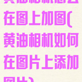 黄油相机怎么在图上加图(黄油相机如何在图片上添加图片)