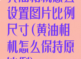 黄油相机怎么设置图片比例尺寸(黄油相机怎么保持原比例)