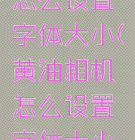 黄油相机怎么设置字体大小(黄油相机怎么设置字体大小啊)
