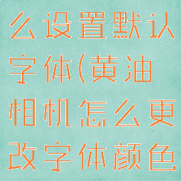 黄油相机怎么设置默认字体(黄油相机怎么更改字体颜色)
