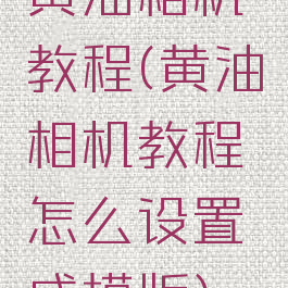 黄油相机教程(黄油相机教程怎么设置成模版)