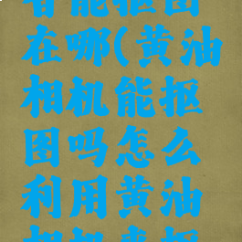 黄油相机智能抠图在哪(黄油相机能抠图吗怎么利用黄油相机来抠图)