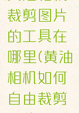 黄油相机裁剪图片的工具在哪里(黄油相机如何自由裁剪图片)