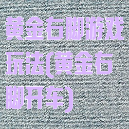黄金右脚游戏玩法(黄金右脚开车)