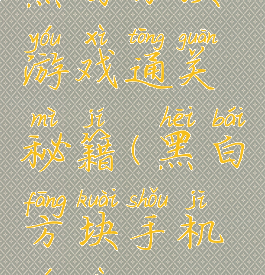 黑白方块游戏通关秘籍(黑白方块手机游戏)