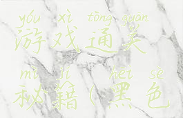 黑白方块游戏通关秘籍(黑色方块游戏)