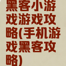 黑客小游戏游戏攻略(手机游戏黑客攻略)