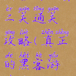 黑客游戏第二关通关攻略(真正的黑客游戏第三关)