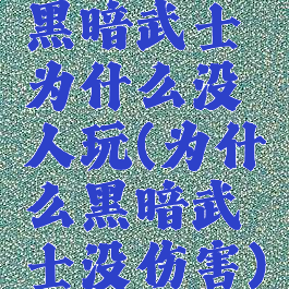 黑暗武士为什么没人玩(为什么黑暗武士没伤害)