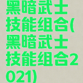黑暗武士技能组合(黑暗武士技能组合2021)