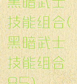 黑暗武士技能组合(黑暗武士技能组合85)